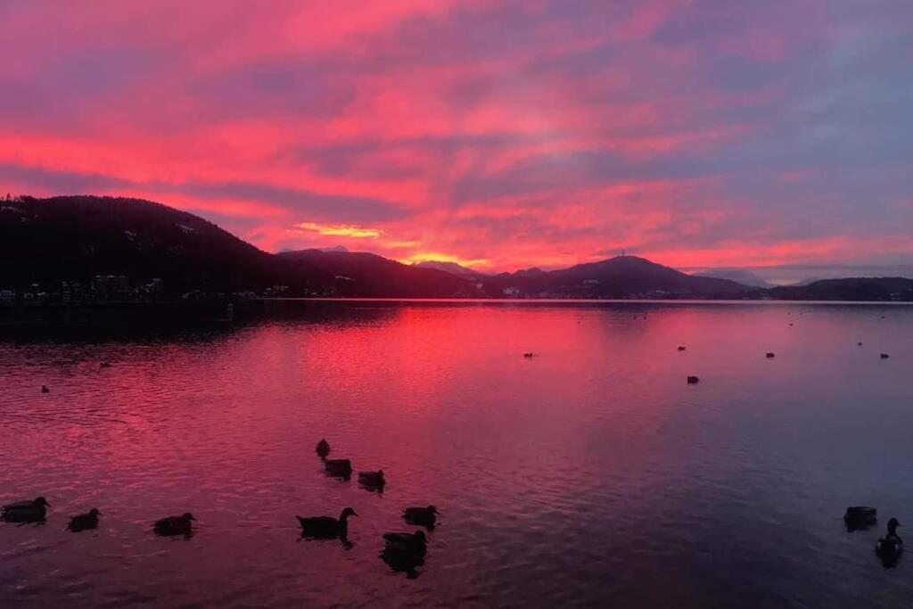 Evita Woerthersee Krumpendorf Eksteriør billede